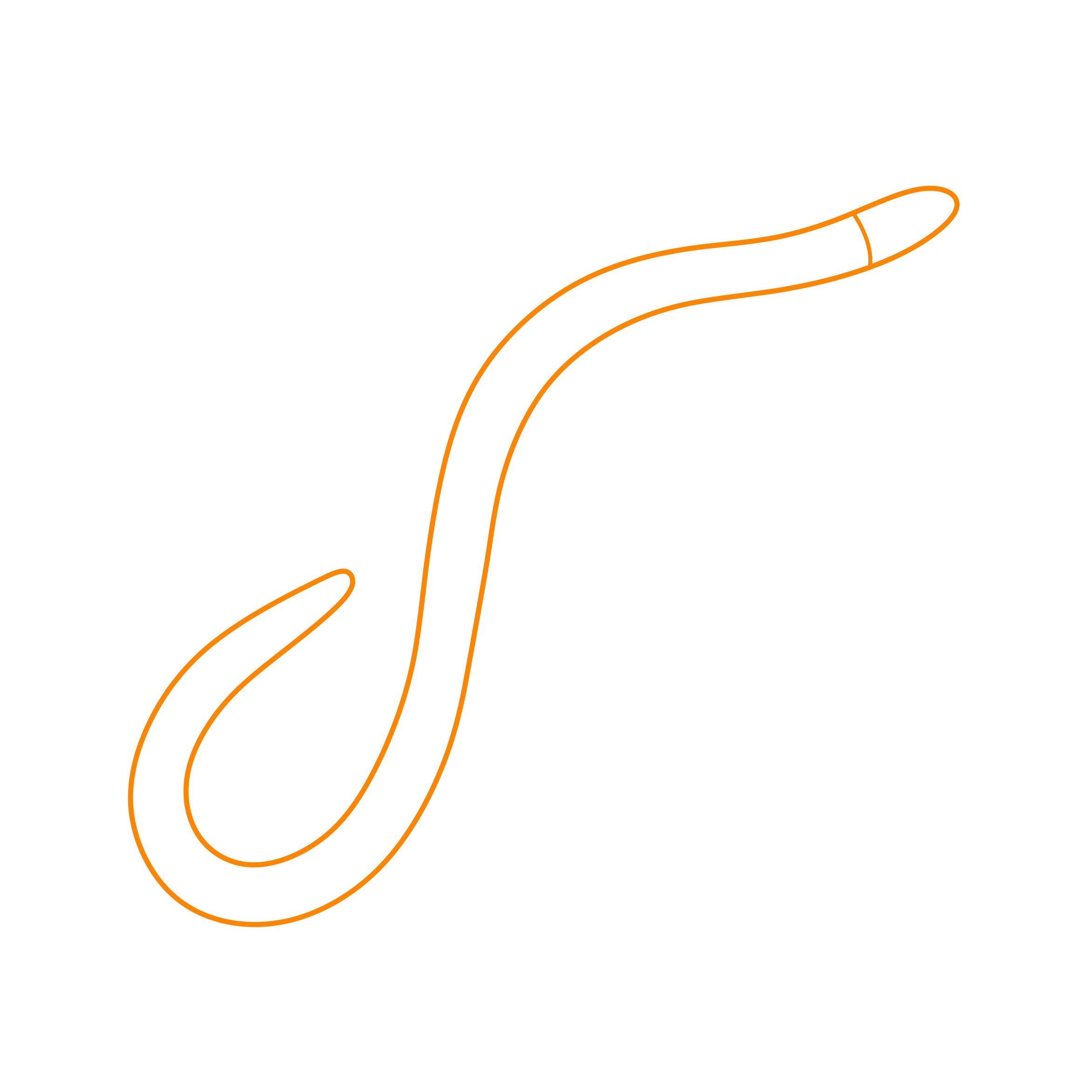 Animals Caecilians Gaboon Caecilian Sketch Svg Vector Free Vectors